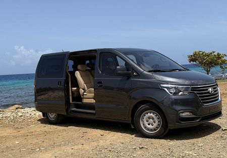 Hyundai H1 | 12 Persoons